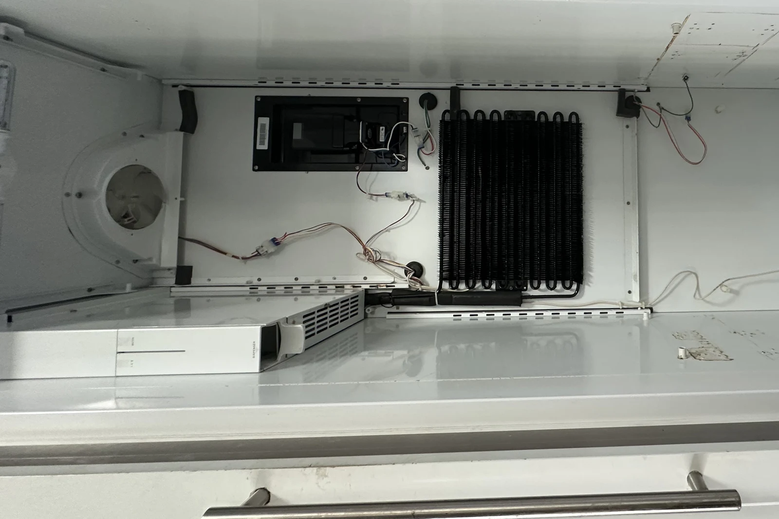Refrigerator evaporator coil and drain assembly behind the back panel