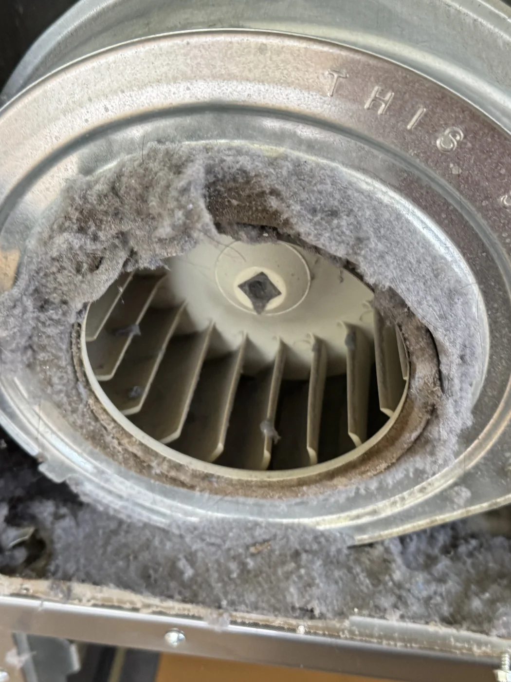 Dryer blower wheel packed with lint before cleaning